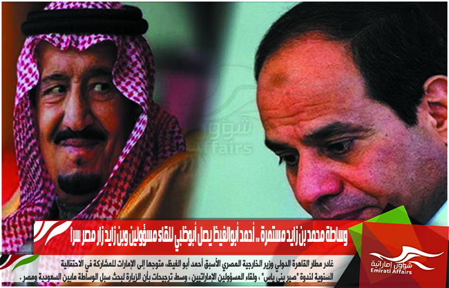 وساطة محمد بن زايد مستمرة .. أحمد أبوالغيظ يصل أبوظبي للقاء مسؤولين وبن زايد زار مصر سرا