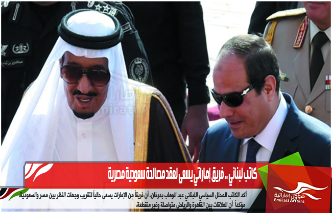 كاتب لبناني .. فريق إماراتي يسعى لعقد مصالحة سعودية مصرية