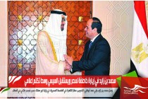 محمد بن زايد في زيارة خاطفة لمصر ويستقبل السيسي وسط تكتم إعلامي