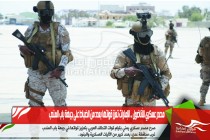 مصدر عسكري للأناضول .. الإمارات تعزز قواتها بعدد من الضباط على جبهة باب المندب