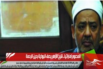 المدعوم إماراتيا.. شيخ الأزهر يصف البوذية بدين الرحمة