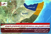 الاتحاد الإفريقي يعرب عن قلقه ازاد التدخلات الإماراتية في الصومال