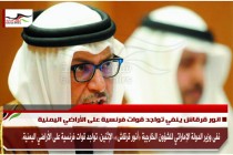 انور قرقاش ينفي تواجد قوات فرنسية على الأراضي اليمنية