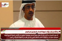 عبدالله بن زايد يؤكد ضرورة انسحاب الحوثيين من اليمن