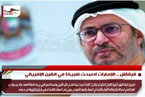 قرقاش .. الإمارات أصبحت شريكاً في القرن الإفريقي