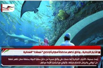 الأخبار اللبنانية .. وثائق تظهر مخططاً اماراتياً لإخضاع &quot; مسقط &quot; العُمانية