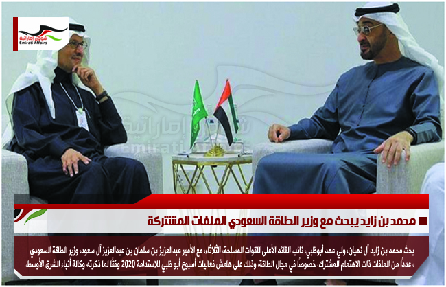محمد بن زايد يبحث مع وزير الطاقة السعودي الملفات المشتركة