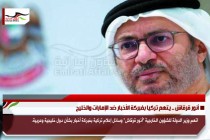 أنور قرقاش .. يتهم تركيا بفبركة الأخبار ضد الإمارات والخليج