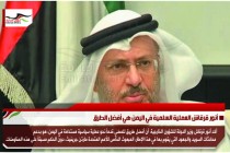 أنور قرقاش العملية السلمية في اليمن هي أفضل الطرق