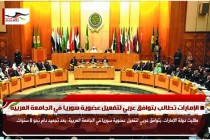 الإمارات تطالب بتوافق عربي لتفعيل عضوية سوريا في الجامعة العربية