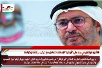 أنور قرقاش في رده على "أوغلو" الإمارات تتعامل مع تركيا بحكمة وكياسة