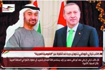 كاتب تركي: أبوظبي تخوض حربا ضد أنقرة عبر "القومية العربية"