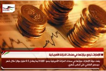 الإمارات ترفع حيازتها في سندات الخزانة الأمريكية
