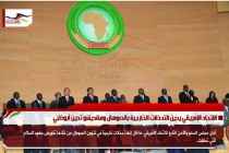 الإتحاد الإفريقي يدين التدخلات الخارجية بالصومال ومقديشو تدين أبوظبي