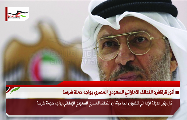 أنور قرقاش: التحالف الإماراتي السعودي المصري يواجه حملة شرسة