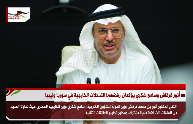 أنور قرقاش وسامح شكري يؤكدان رفضهما التدخلات الخارجية في سوريا وليبيا