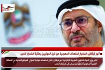 أنور قرقاش: استمرار استهداف السعودية من قبل الحوثيين بمثابة استمرار للحرب