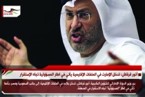 أنور قرقاش التدخل الإمارتي في الملفات الإقليمية يهدف لإستقرار المنطقة