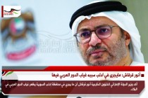 أنور قرقاش: مايجرى في ادلب سببه غياب الدور العربي فيها