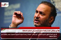 أنور قرقاش: نهدف رفقة السعودية ومصر إلى استقرار المنطقة