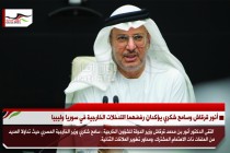 أنور قرقاش وسامح شكري يؤكدان رفضهما التدخلات الخارجية في سوريا وليبيا