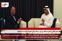 سامح شكري يسلم عبدالله بن زايد رسالة بشأن تطورات أزمة سد النهضة