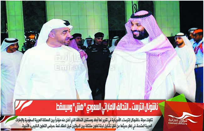 ناشونال انترست .. التحالف الاماراتي السعودي " هش " وسيسقط