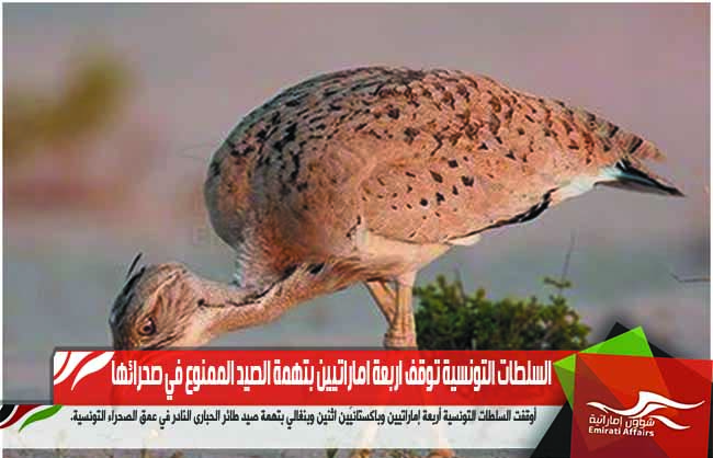 السلطات التونسية توقف اربعة اماراتيين بتهمة الصيد الممنوع في صحرائها