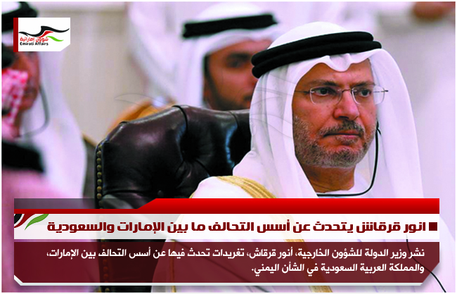 انور قرقاش يتحدث عن أسس التحالف ما بين الإمارات والسعودية