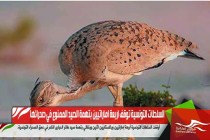 السلطات التونسية توقف اربعة اماراتيين بتهمة الصيد الممنوع في صحرائها