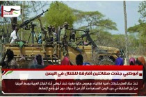 أبوظبي جنّدت مقاتلين أفارقة للقتال في اليمن