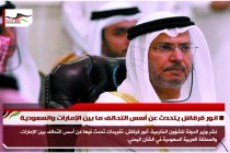 انور قرقاش يتحدث عن أسس التحالف ما بين الإمارات والسعودية