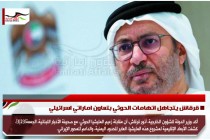 قرقاش يتجاهل اتهامات الحوثي بتعاون اماراتي اسرائيلي