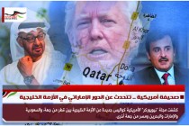صحيفة أمريكية .. تتحدث عن الدور الإماراتي في الأزمة الخليجية