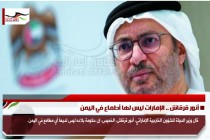 أنور قرقاش .. الإمارات ليس لها أطماع في اليمن