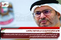 أنور قرقاش أزمة ايران لن تحل بشراء الوقت والتهديد