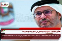 أنور قرقاش .. تقليص الدور العربي في سوريا يحتاج لمراجعة