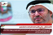 أنور قرقاش .. يلتقي بالأمين العام للأمم المتحدة بشأن اليمن