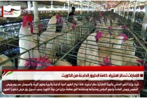 الإمارات تحظر استيراد كافة الطيور الداجنة من الكويت