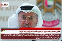 أنور قرقاش يصف حلول تيليرسون للأزمة الخليجية " بالسطحية "