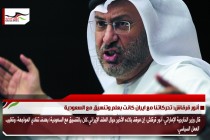 أنور قرقاش: تحركاتنا مع ايران كانت بعلم وتنسيق مع السعودية
