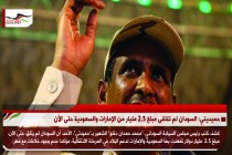 حميديتي: السودان لم تتلقى مبلغ 2.5 مليار من الإمارات والسعودية حتى الآن