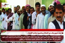 نصف مليون وافد من العمالة يستعدون لمغادرة الإمارات