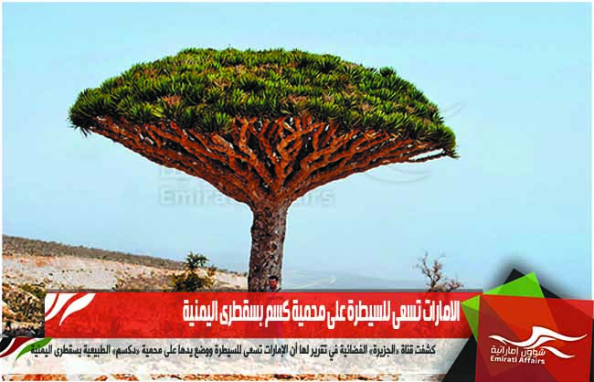 الامارات تسعى للسيطرة على محمية كسم بسقطرى اليمنية