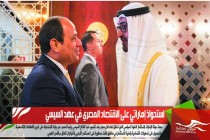 استحواذ إماراتي على الاقتصاد المصري في عهد السيسي