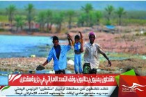 ناشطون يمنيون يطالبون بوقف التمدد الاماراتي في جزيرةسقطرى