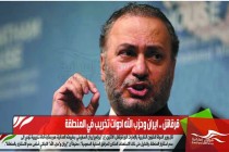 قرقاش .. ايران وحزب الله ادوات تخريب في المنطقة