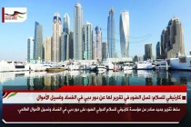 كارنيغي للسلام: تسل الضوء في تقرير لها عن دور دبي في الفساد وغسيل الأموال