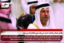 أنور قرقاش: الإمارات تعمل على وقف فوري لإطلاق النار في ليبيا