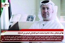 أنور قرقاش: حملات اعلامية تستهدف الدور الإماراتي الريادي في المنطقة